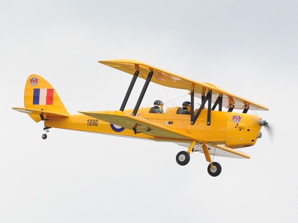 Phoenix Tiger Moth GP/EP ARF - 140 cm_1